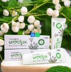 하얀민들레치약(150g) 3개 프리미엄 프로폴리스 구취제거 미백 화이트닝 불소 치주염 : 쇼원픽