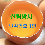 난각번호1번 유정란 중란 - 강원도 산림방목 계란 - 유기농 유기축산물 해썹 인정 : 민트드림