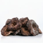 자연산 능이버섯 유럽산 냉동 1kg / 건조 100g [송림푸드] : 송림푸드