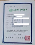 대저 짭짤이 토마토 짭짜리 부산 대저동 : 사계뜰해