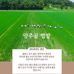 양주농협직송 양주골 쌀(햅쌀20kg) 상등급 2024 햅쌀 (가정용,업소용) : 강철 유통
