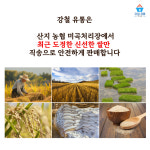 양주농협직송 양주골 쌀(햅쌀20kg) 상등급 2024 햅쌀 (가정용,업소용) : 강철 유통