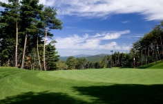 강원도 2인 3인골프장 웰리힐리cc 1박2일 패키지 : GIANTGOLF