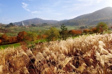 웰리힐리cc 3인 가능한 회원제 강원도 횡성 1박2일 골프 : GIANTGOLF
