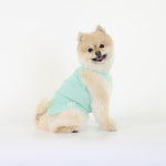 강아지옷 면100% 몽루 버즈아이 (BIRDS EYE) : monloup