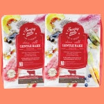 (예약주문+N포인트) 썬데이펫 독 젠틀베이크 오븐베이크 LID 강아지사료 소고기, 1.3kg, 2개 : 라인펫