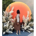 달포토존 스튜디오 소품 장식 보름달 행사장 경치 A타입 150x150cm : 웰컴어보드 쇼핑몰