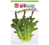 오크린 오크상추 샐러드상추 1500립 사계절상추 아시아종묘 쌈채소 뾰족상추 아삭샐러드 파란상추 : 새청주농자재백화점