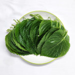 GAP 경남 밀양 깻잎 찹찹이깻잎 쌈채소 개별포장 벌크 100g 200g 300g 400g 500g 1kg : 울팜