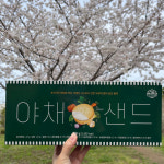 제주 야채샌드 아침미소목장 원유 크래커 여행 선물 231g : 오늘올레제주