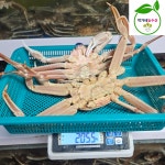 러시아 활어 박달대게 3kg(3-4미) 수율80% : 박가네농수산
