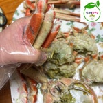 러시아 활어 박달대게 3kg(3-4미) 수율80% : 박가네농수산
