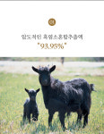 흑염소진액효능 염소즙 흑염소진액 엑기스 흙염소 30포 : Life is All