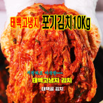 국내산 고냉지배추 태백골 포기김치10Kg : 식자재유통 짱하오