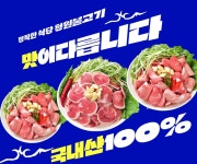 청주 천안 청원불고기 파불고기 밀키트 국내산 100% 한돈 : 청원불고기