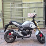 HONDA MSX125 17년식 정비완료 입문용 출퇴근용 배달용 메뉴얼오토바이 : ev바이크몰