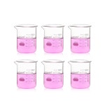 랩비다 6개 300ml 업그레이드 두꺼운 유리 비커, 그리핀 로우 폼 비커 세트 더블 스케일, 3.3 Boro, LVA021 : 엠제이콥