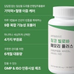 징코 빌로바 메모리 플러스 650mg x 180캡슐 은행잎추출물 비타민B6 D 아연 당귀 병풀 대두레시틴 6개월분 : 조이투데이
