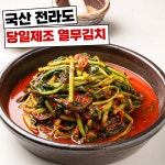 [당일제조] 100% 국산 아삭한 전라도 열무김치 : 네이처홈푸드