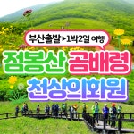 부산출발 점봉산 곰배령 천상의화원 1박2일 버스투어 동해여행사 : 동해여행사