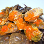 봉선장 국산 서해 가을 암꽃게 알배기 간장게장 1.5kg : 봉선장스토어