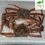 러시아 활어 박달대게 3kg(3-4미) 수율80% : 박가네농수산