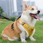 시바견하네스 대형견하네스 앞섬방지하네스 진돗개 중형견 가슴줄 : 77상회