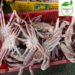 러시아 활어 박달대게 3kg(3-4미) 수율80% : 박가네농수산