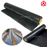 대한 멀칭비닐 흑색 무공 200M (두께/0.02mm) 농업용비닐 텃밭,밭농사 농자재 : 성도엘엔티