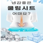 시원한 쿨 아이스 허리편한 방석 : 현유통