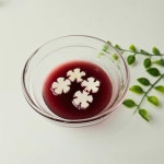 애플링 벚꽃모양 배칩(15g) 동결건조 아이간식 샐러드 홈카페음료 토핑 : 신기농원