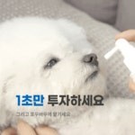 포우바우 프라글린스 pawbow 뿌리는 강아지스프레이치약 : 메디코스랩샵