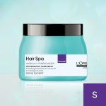 로레알 트리트먼트 헤어스파 크림바스 모발 관리 클리닉 스무딩 (릴리향), 490g, 1개 : 딸기뷰티