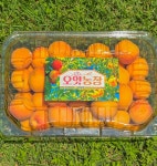 [오얏농장] 노지 살구/하코트살구/자두 4kg/2kg 당일수확 산지직송 살구 제철 살구효능 : 오얏농장
