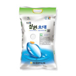 [동철원농협] 철원오대쌀 백미 햅쌀 당일도정 4kg, 1개 : 서울동행상회