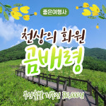 [좋은여행사]부산출발 천상의화원 곰배령 여행 1박2일 내설악 주전골 : 좋은여행사