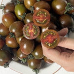 흑대추방울토마토 블랙방울 흑토마토 쿠마토 농장직송 1kg 2kg : 과일네채소밭