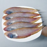 군산 반건조 박대 서대 구이 조림 찜 5미  대사이즈 : 시엘리 마켓