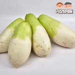 제주도 산지직송 제주 월동무 3KG 5KG 10KG 국내산 무우 무생채 깍두기 김장용 : 거상형제들