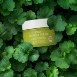 메디앤씨 시카 마데카 크림 : 왁싱나라