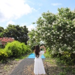 제주 아일랜드플라워 동물원 / 제주도 동물농장 어린이 관광지 체험 카페 먹이주기 : 브이패스