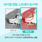 바이랩 덴탈 스프레이 강아지 구강 입냄새 치석 제거 뿌리는 치약 치아관리 60ml, 2개 : BYLAB
