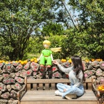 제주 파더스가든 / 제주도 서귀포 동물농장 귤따기체험 동백꽃 : 브이패스