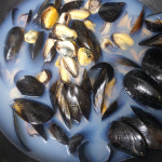 당일조업 어획 생물 생 홍합 1kg / 산지직송 여수 통영 : 대한과일협동조합