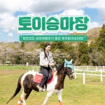 제주 토이승마장 이용권/ 제주도 가족여행 승마 초보 이색체험 힐링 : WEPICK