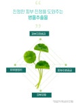 힐미릴미 31에어스킨 시카로바이 클렌징폼 : 피누스 스토어 더퓨어