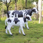 젖소모형 야외 목장 농장 대형 체험 공장 동물 조형물 체험장 : 글로벌라인즈