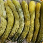 [다올] 오이장아찌 밥반찬 강원도 홍천 삼둔농원 오대산 오이지절임 1kg : 다올마차