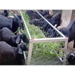 염소 먹이통 양계장 그릇 물마루 사육 사육장 여물통 흑염소 사료통 송아지 목장 급식기 2m 길이 : 월드오브판다
