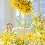 [20평단독] 서울 셀프 웨딩 촬영 스튜디오 웨딩 커플 스냅 : 인더블랭크 자연광스튜디오